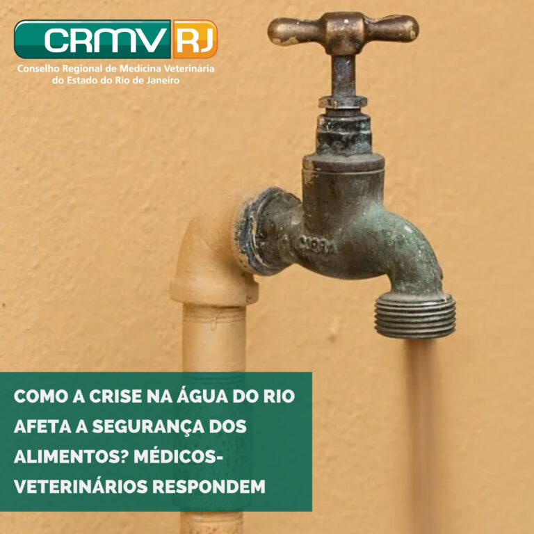 crise da agua no rio de janeiro