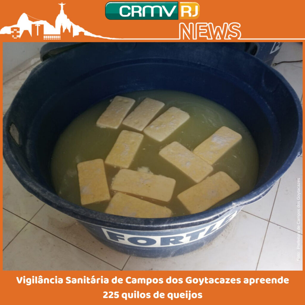 Vigilância Sanitária de Campos dos Goytacazes apreende 225 quilos de queijos