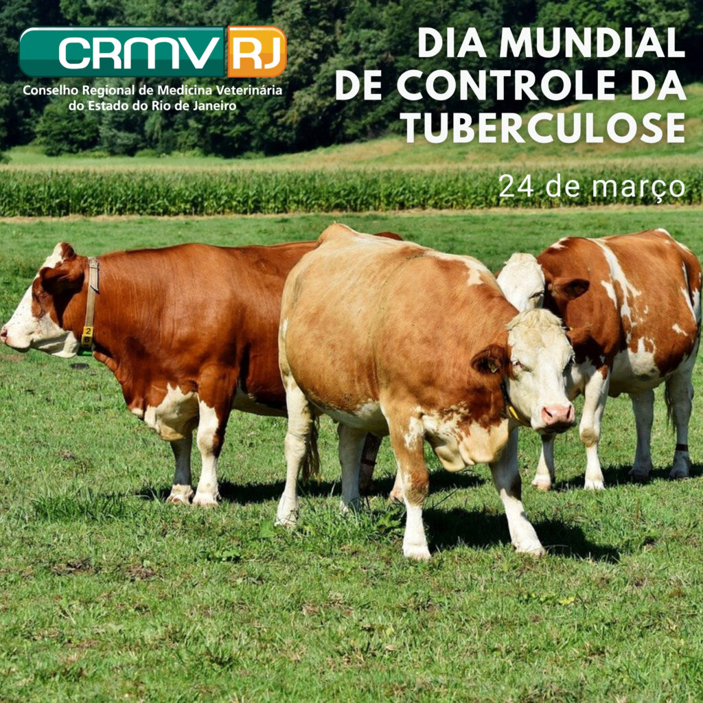 Dia mundial De controle da tuberculose