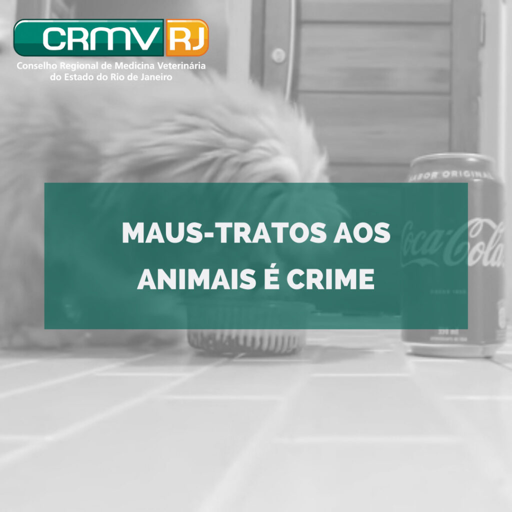 Maus tratos aos animais é crime