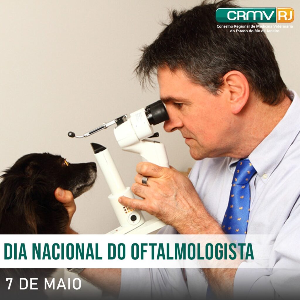 Dia do Oftalmologista