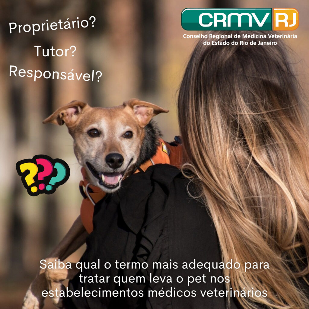 tutor, responsável e proprietário de animais