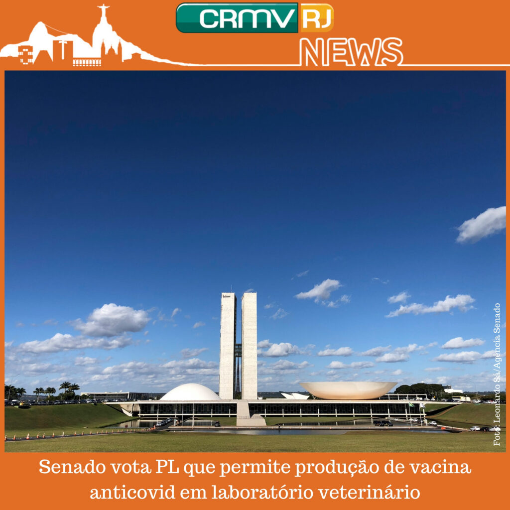 Senado-vota-PL-que-permite-producao-de-vacina-anticovid-em-laboratorio-veterinario-Fonte-Agencia-Senado