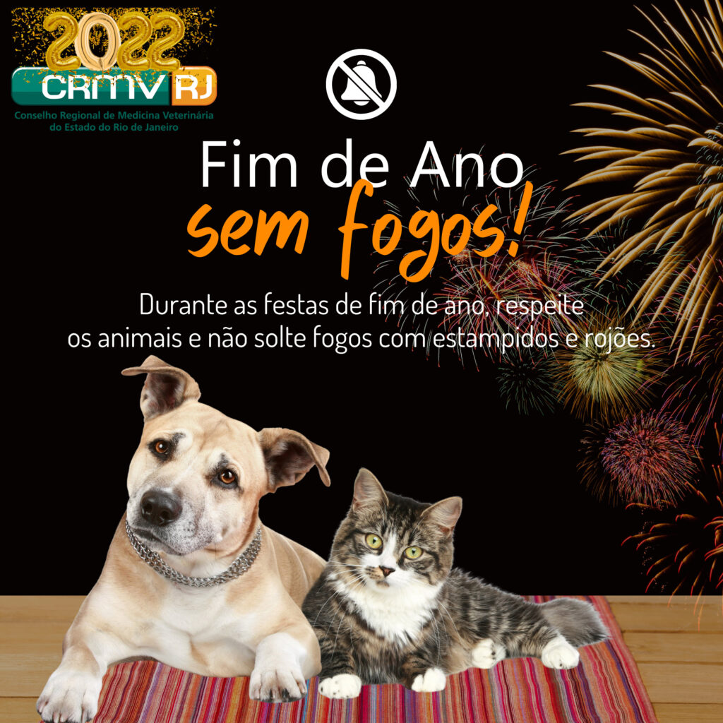 Fim de ano sem fogos