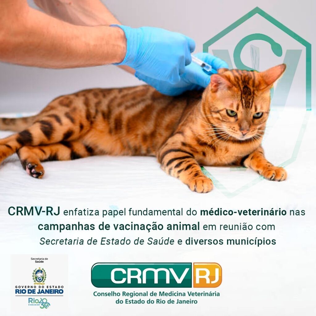 CRMV-RJ realiza reunião com Secretaria Estadual de Saúde