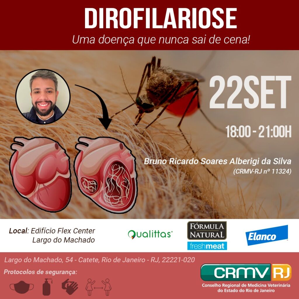 Dirofilariose