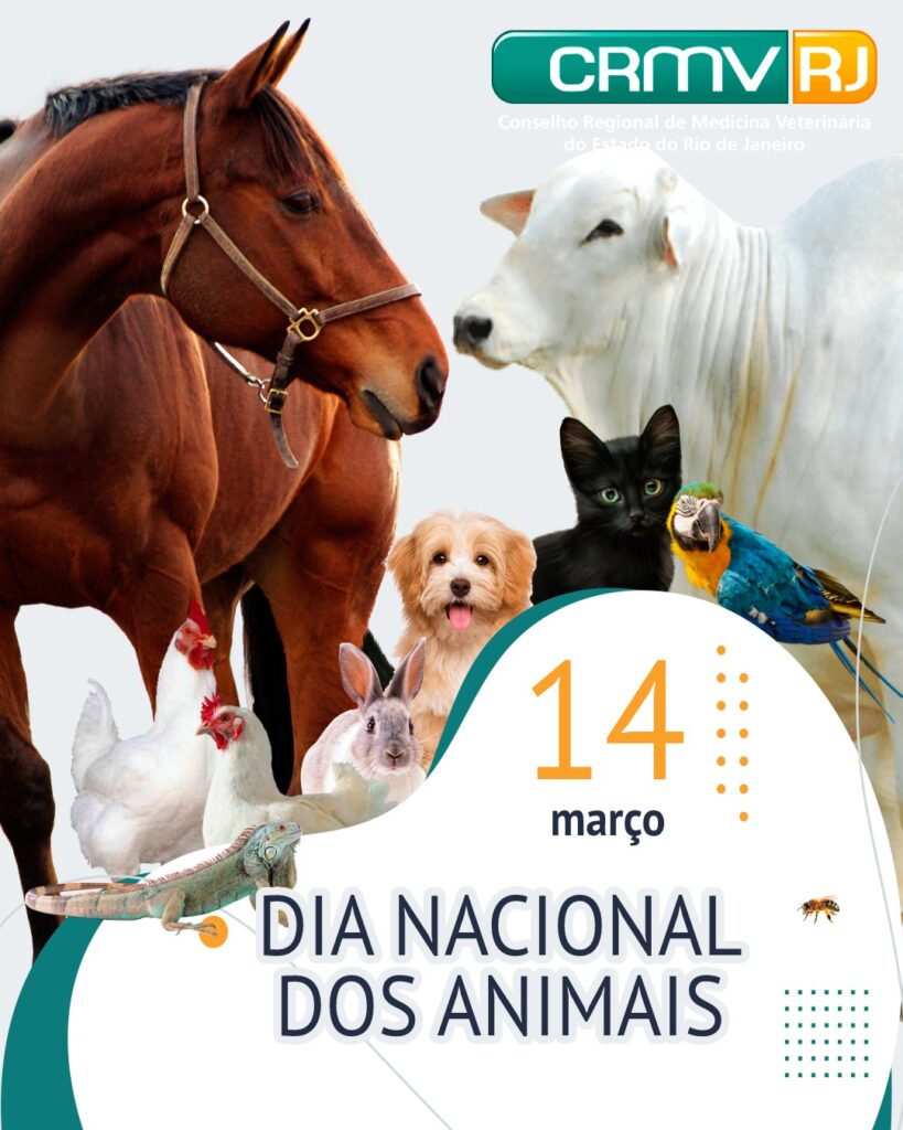 Dia Nacional dos Animais