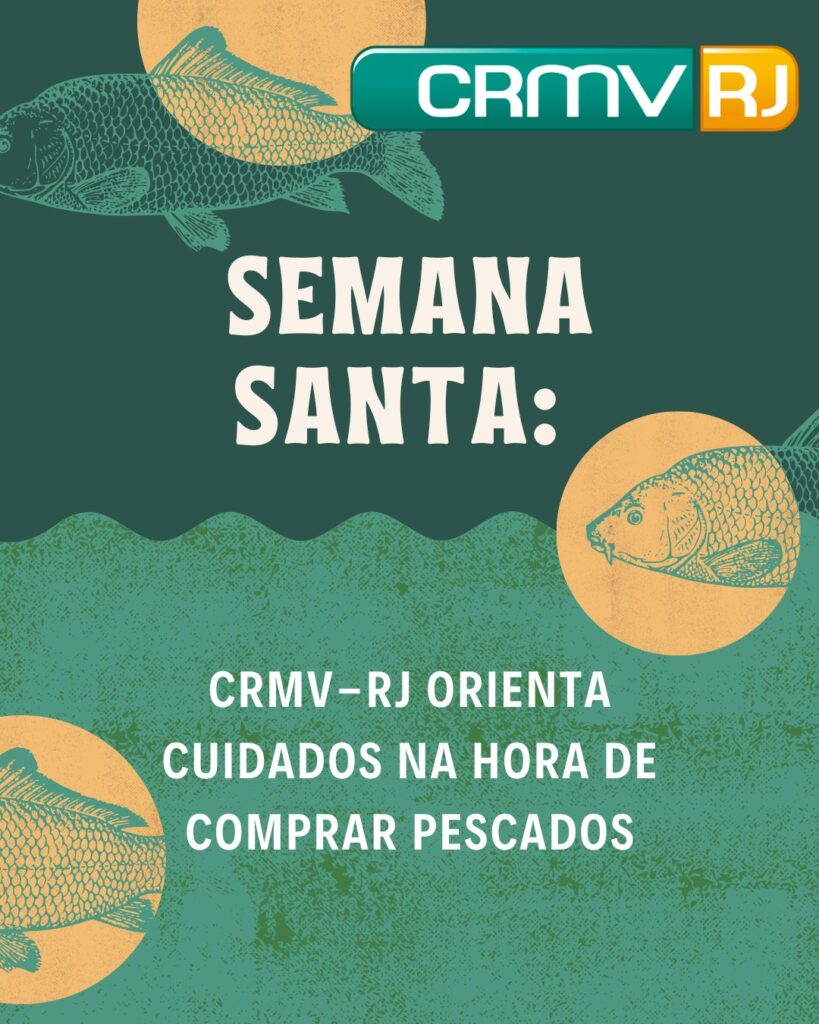 semana santa e os cuidados na compra de pescado