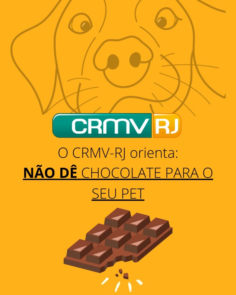 chocolate para cachorro