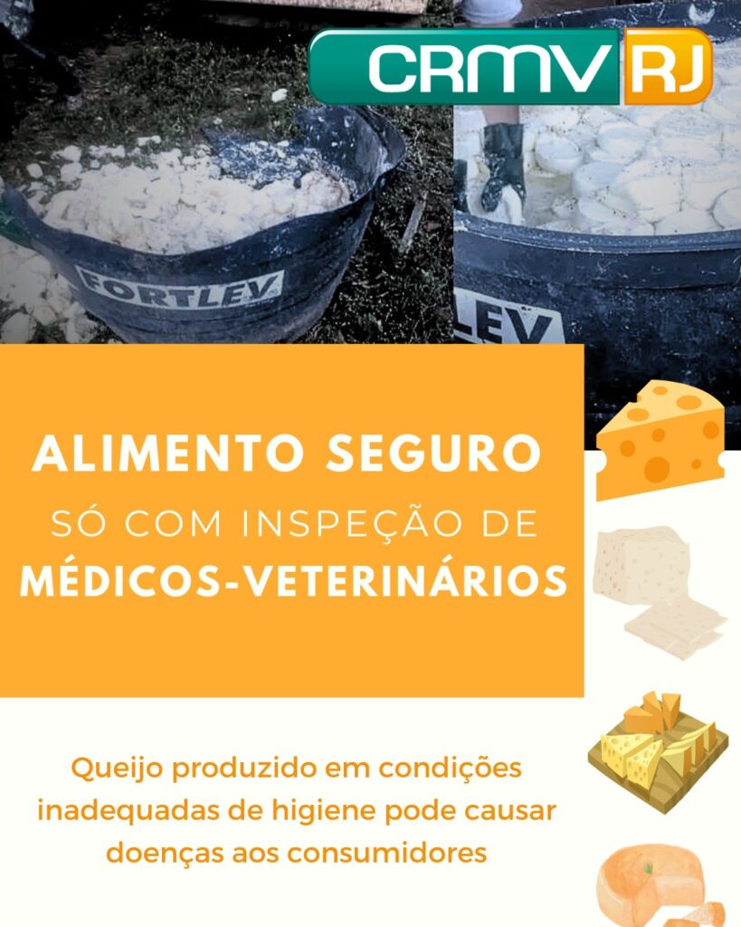 Inspeção queijo artesanal