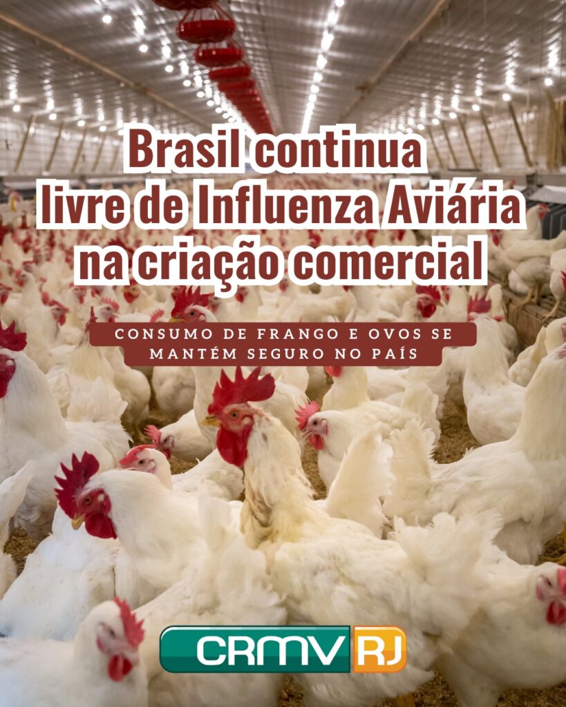 Influenza aviária