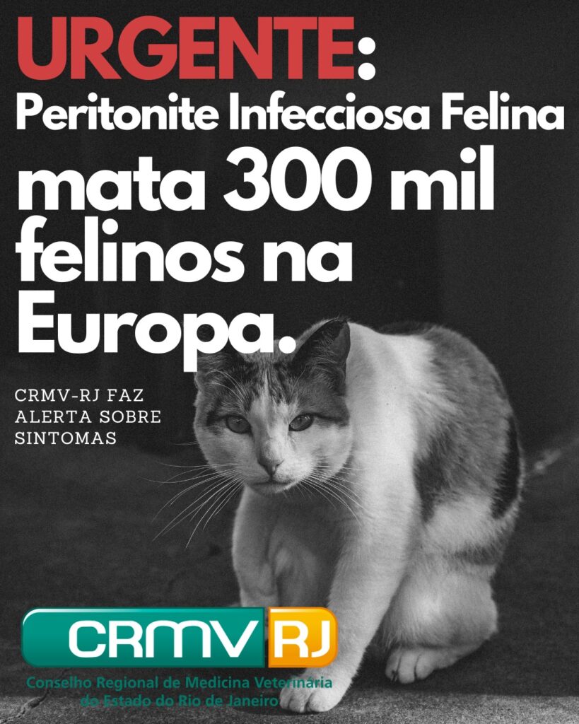 Peritonite Infecciosa Felina