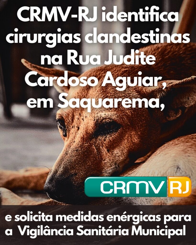 ongs saquarema castração