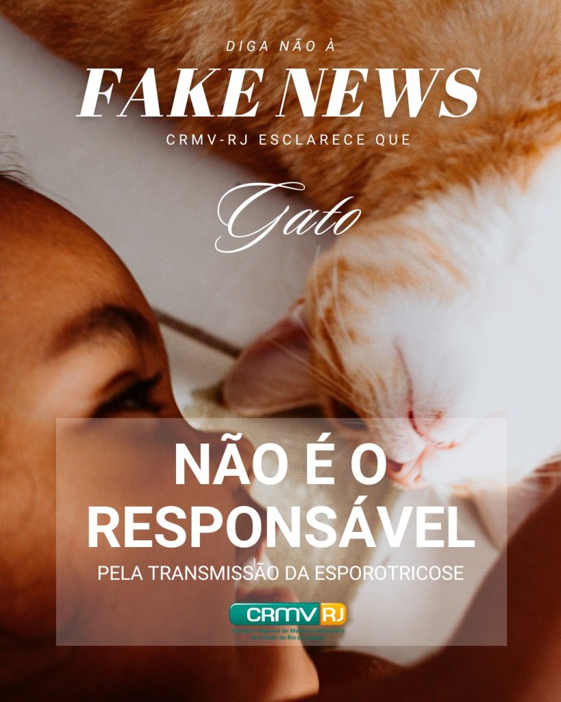 fake news esporotricose