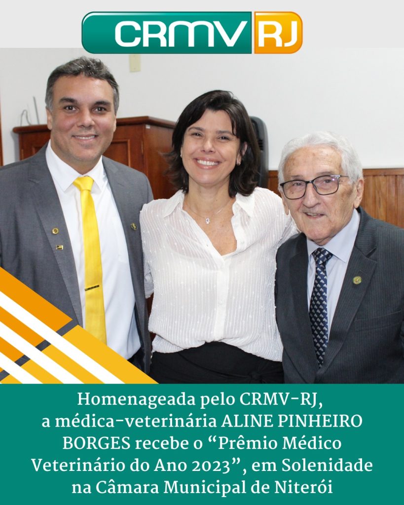 aline pinheiro borges