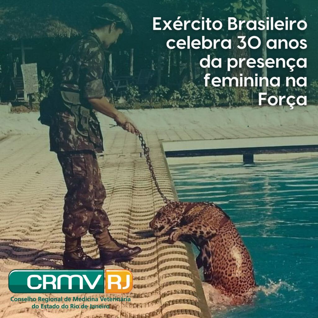 Passo a passo militar temporário do Exército Brasileiro 