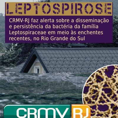 CRMV-RJ faz alerta sobre a disseminação e persistência da bactéria da família Leptospiraceae em meio às enchentes recentes, no Rio Grande do Sul